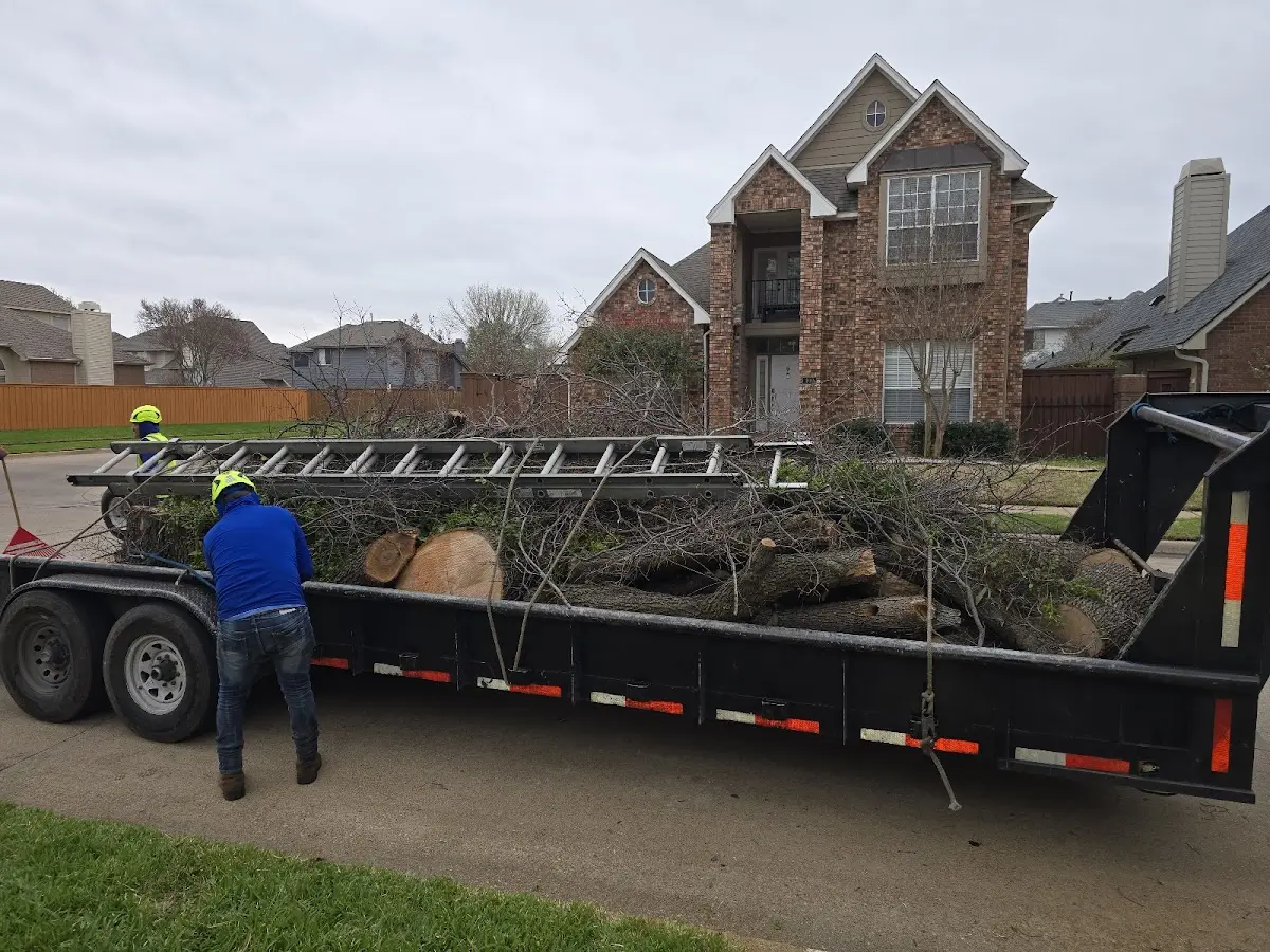 Expert Tree Fertilization with proper safety equipment in Long Lane